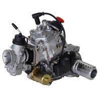Rotax 125 MAX DD2 EVO